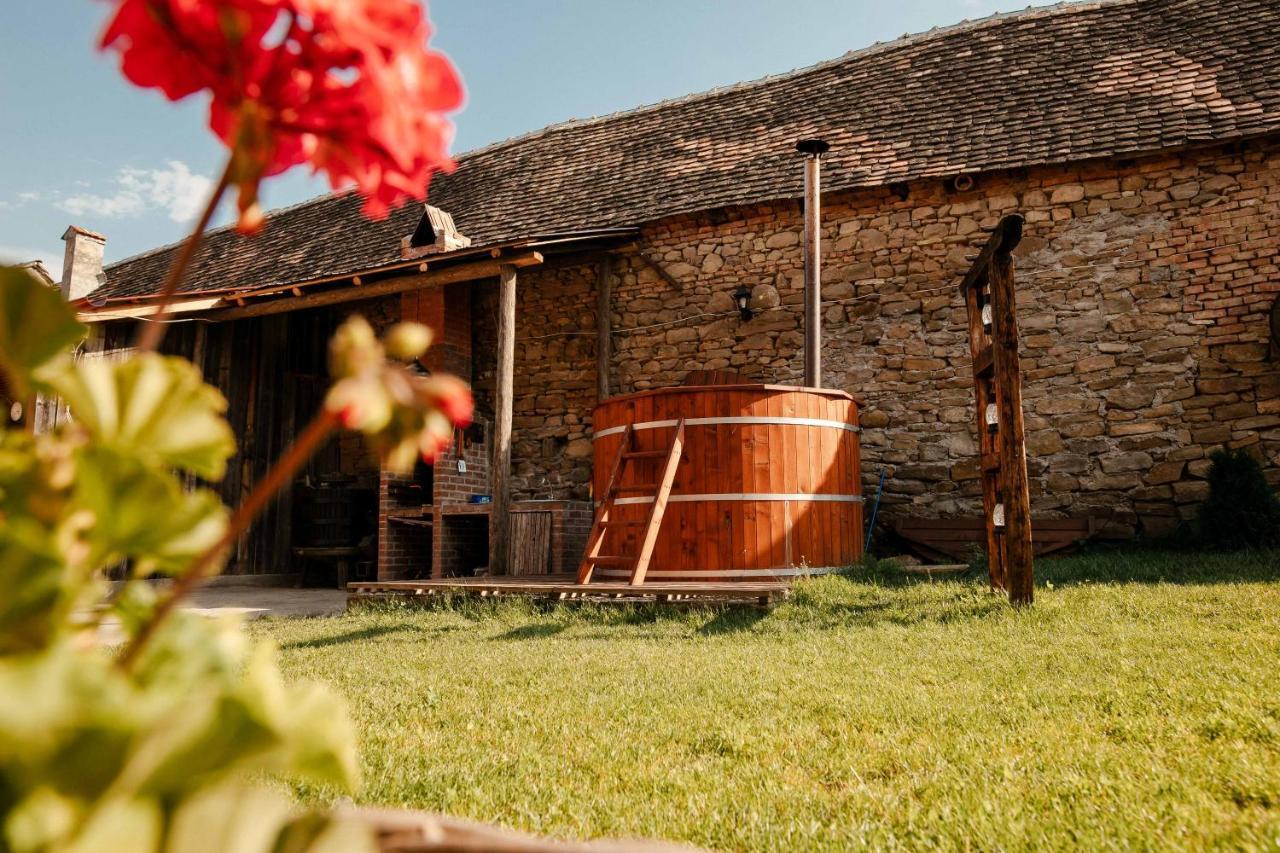 Affittacamere Casa Pe Valea Hartibaciului Barcut Esterno foto