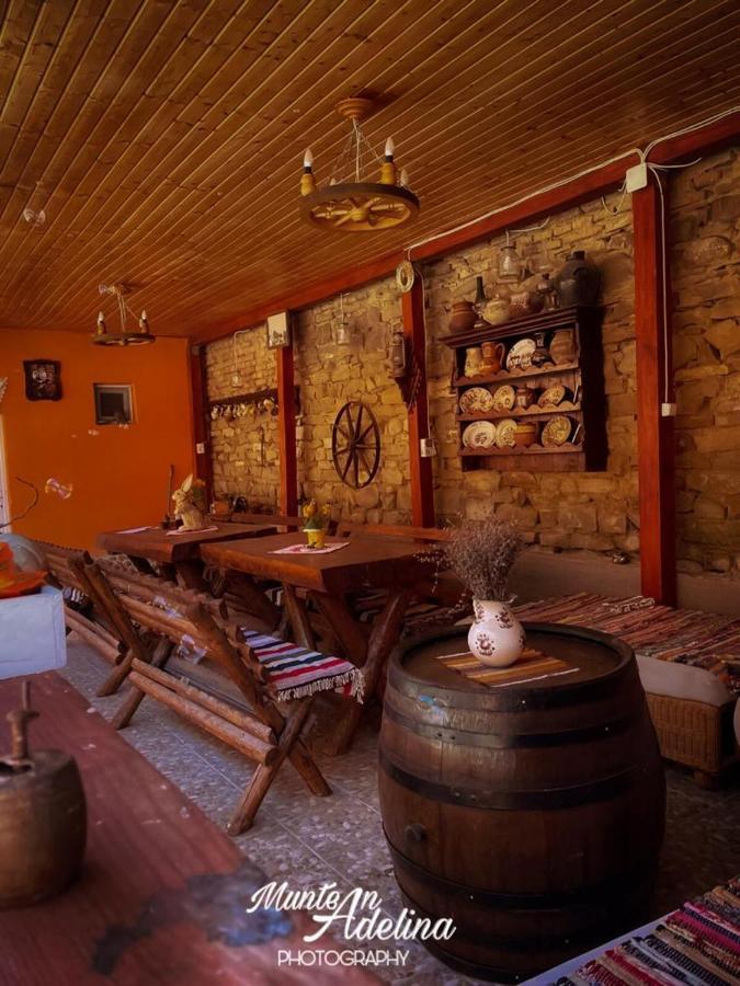 Affittacamere Casa Pe Valea Hartibaciului Barcut Esterno foto