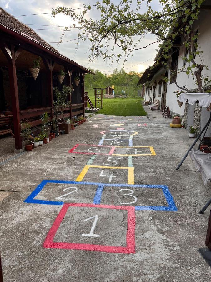 Affittacamere Casa Pe Valea Hartibaciului Barcut Esterno foto