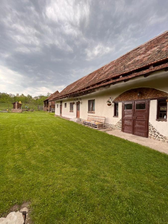 Affittacamere Casa Pe Valea Hartibaciului Barcut Esterno foto