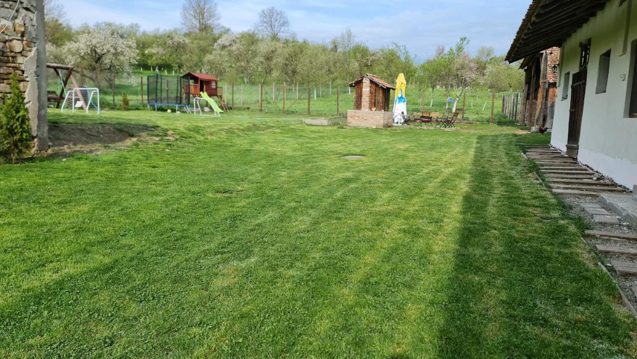 Affittacamere Casa Pe Valea Hartibaciului Barcut Esterno foto