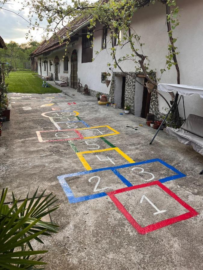 Affittacamere Casa Pe Valea Hartibaciului Barcut Esterno foto