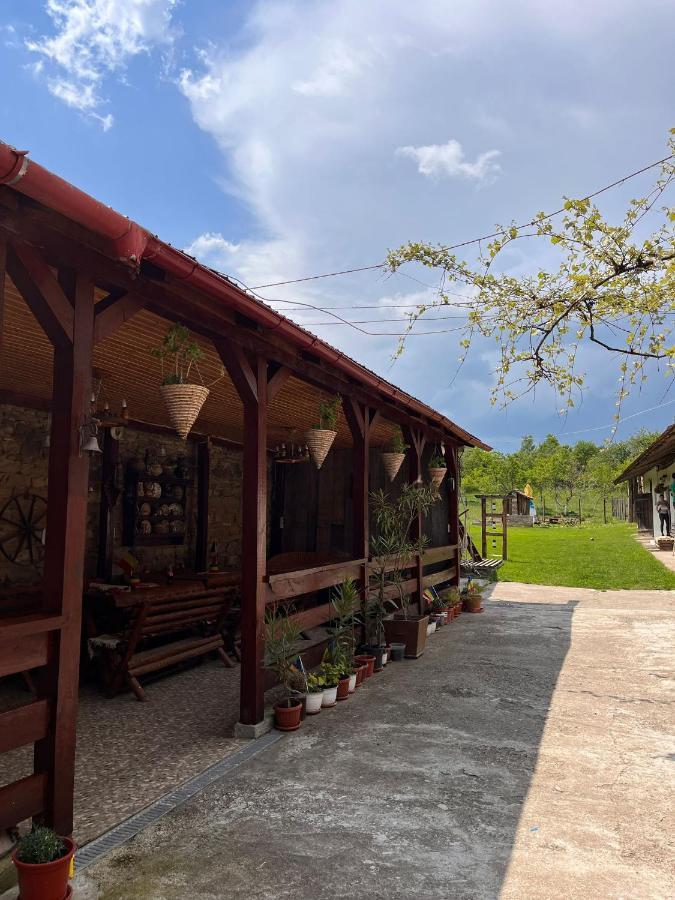Affittacamere Casa Pe Valea Hartibaciului Barcut Esterno foto