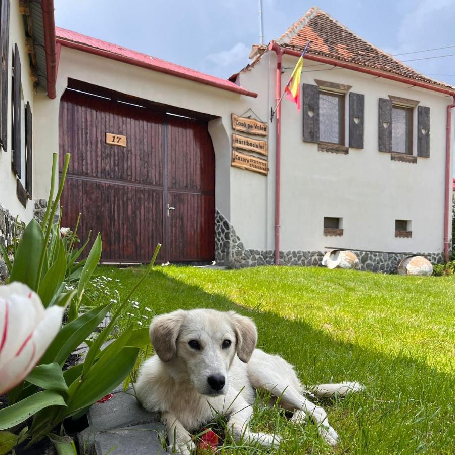 Affittacamere Casa Pe Valea Hartibaciului Barcut Esterno foto
