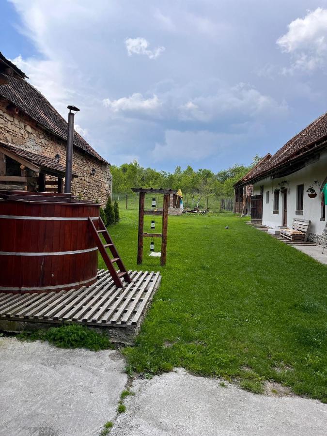 Affittacamere Casa Pe Valea Hartibaciului Barcut Esterno foto