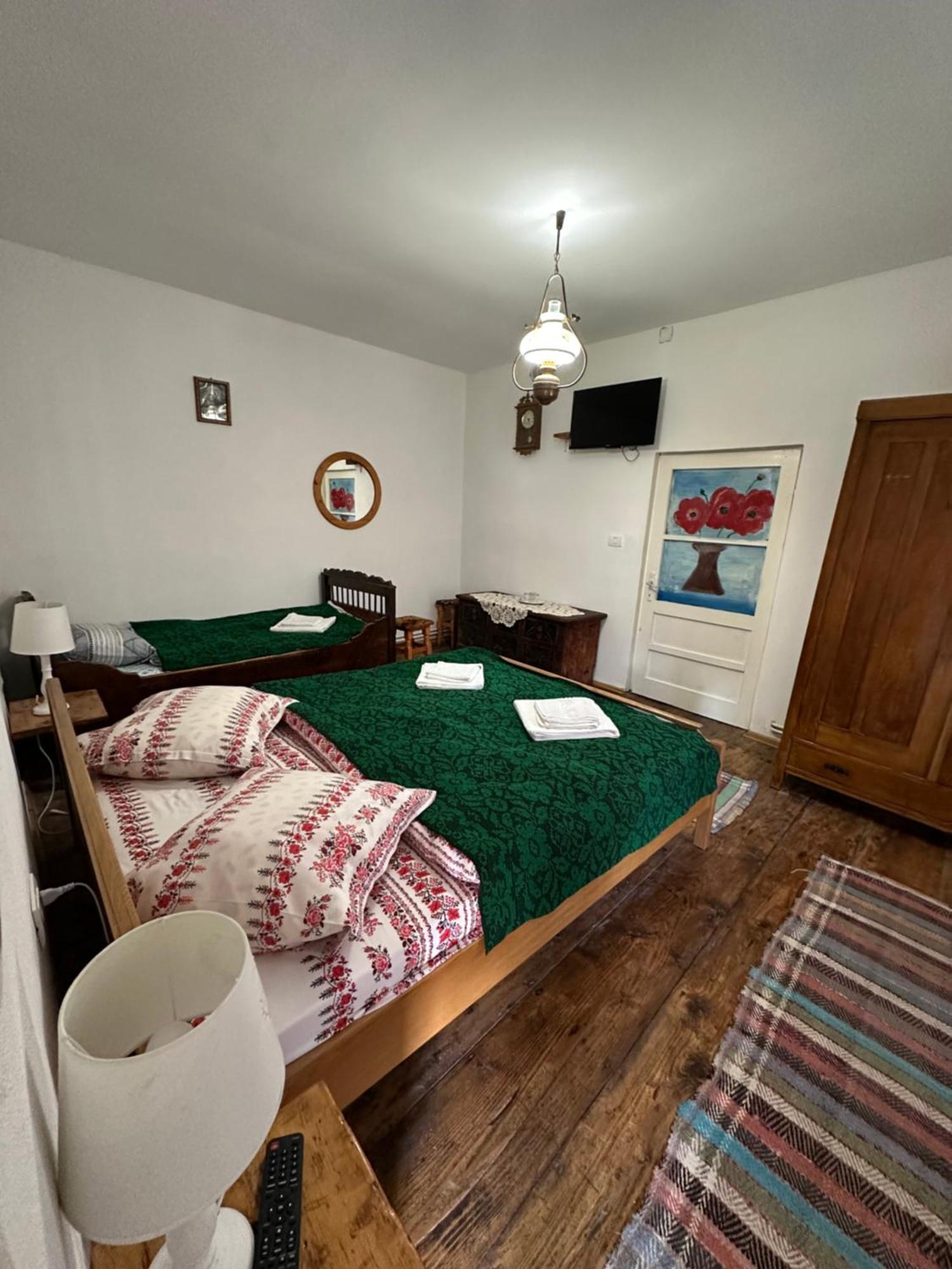 Affittacamere Casa Pe Valea Hartibaciului Barcut Esterno foto